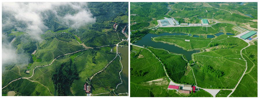 huan12.gif huan12.gif